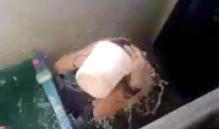बड़े स्तनों वाली आबनूस ने सेक्सी पिक्चर मूवी फुल एचडी उसके पैरों को फैला दिया