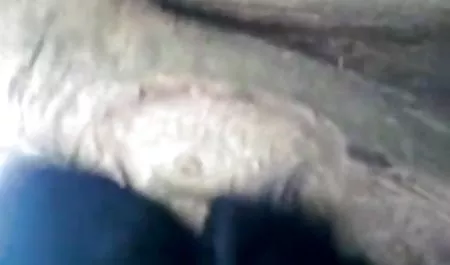 सेक्सी मिया मल्कोवा ने जानवर को उसकी सेक्सी पिक्चर मूवी फुल एचडी योनी में बांध दिया