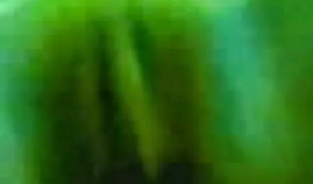 एशियाई बेब सेक्सी हिंदी एचडी मूवी खुद को वेबकैम के सामने लाती है
