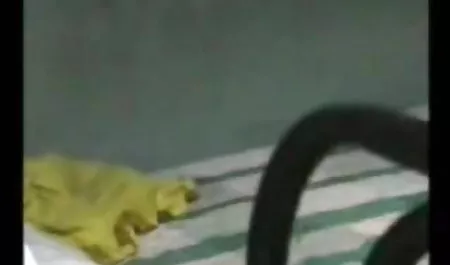 फ्रांस से रेडहेड नौकरानी क्लाइंट को सेक्सी वीडियो हिंदी मूवी blowjob देती है