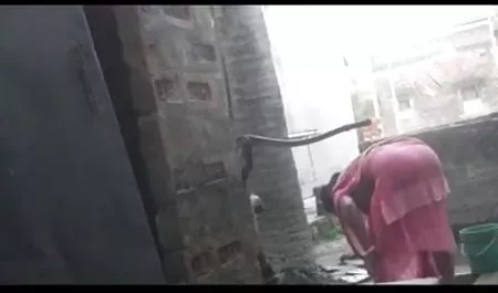 तीन सेक्सी एशियाई लड़कियां एक बूढ़े व्यक्ति के लिए एक गैंगबैंग की व्यवस्था करती हिंदी में सेक्सी फिल्म मूवी हैं