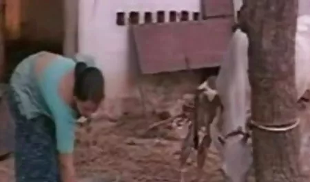 सुंदर श्यामला खुद को तेल से सराबोर करती है और एक हिंदी वीडियो सेक्सी फुल मूवी सुंदर आदमी द्वारा गड़बड़ हो जाती है