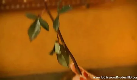 रेडहेड कुतिया चूसा और शुक्राणु निगल सेक्सी मूवी फुल एचडी सेक्सी मूवी लिया