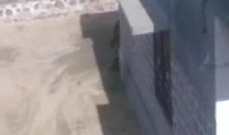 परिपक्व घोड़ी सेक्सी मूवी हिंदी उसके बड़े स्तन दिखावा करती है