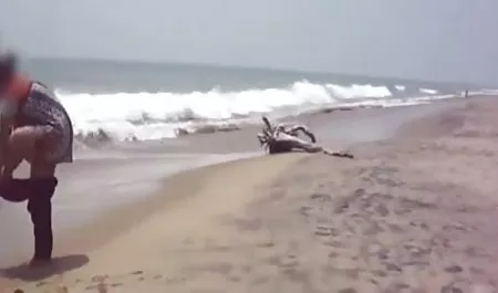 आबनूस हिंदी मूवी का सेक्सी वीडियो हार्ड सेक्स प्यार करता है