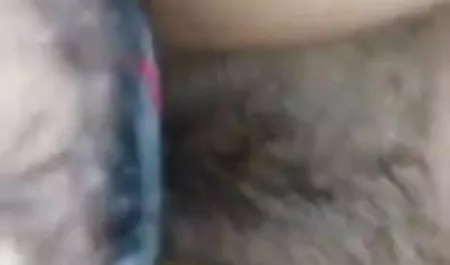 गैया हिंदी फिल्म सेक्सी एचडी में क्रस्टेशियन के साथ नीचे झुका और सख्ती से दूर धकेल दिया
